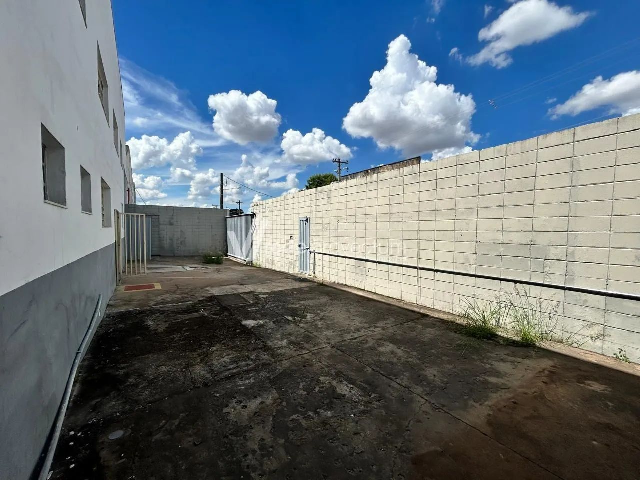 Galpão para venda e locação no Campo dos Amarais - Foto 3