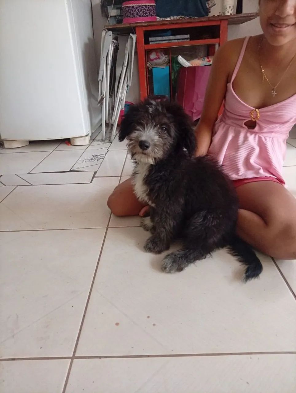Vendo poodle  - Foto 2