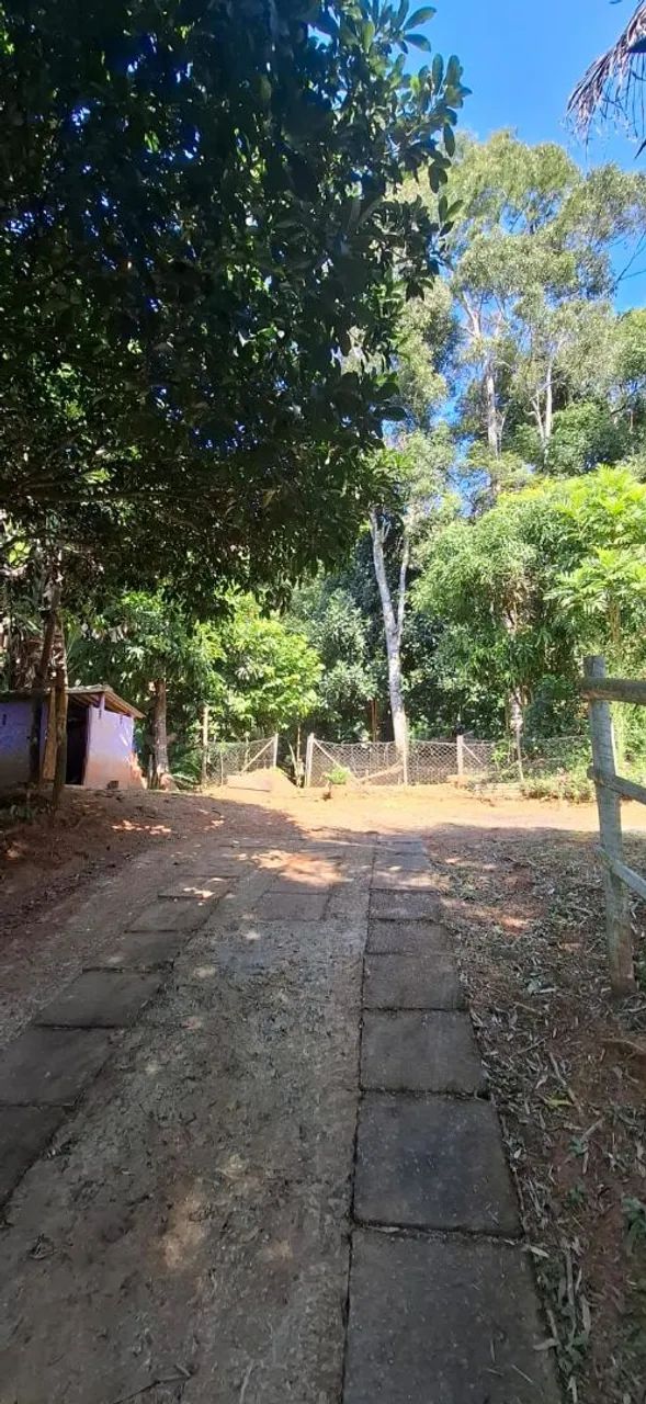 Alugo sítio no Sana - Foto 4