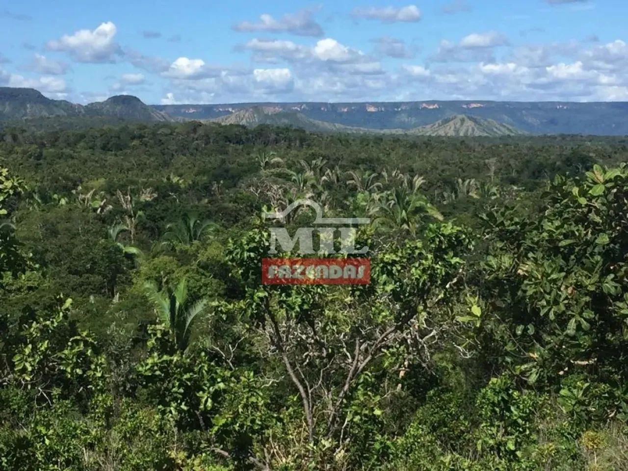 Fazenda 89 Alqueires (430 Hectares) Miracema - TO - Foto 2