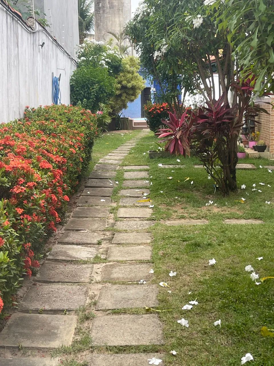 Foto - Salvador - Stella Maris