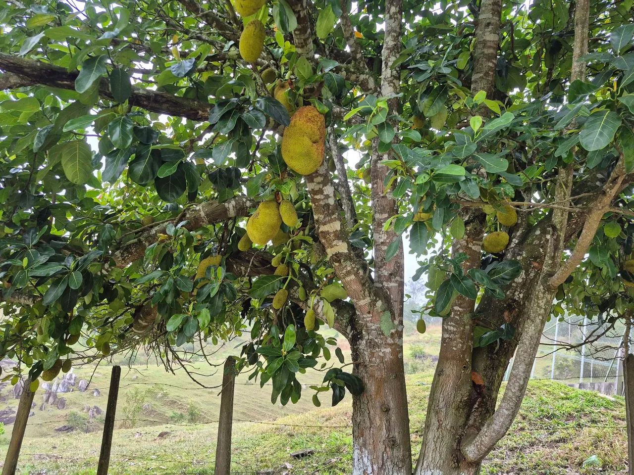 Vendo Sitio top. - Foto 4