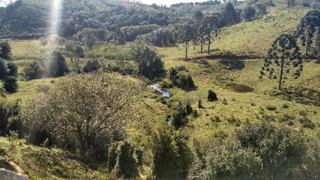 Fazenda para Gado