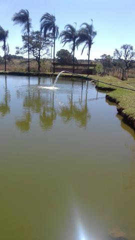 Ponte Alta Olhos D'água próximo ao Gama - Foto 7