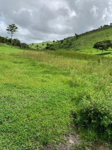 Fazenda para venda em passira, passira - Foto 13