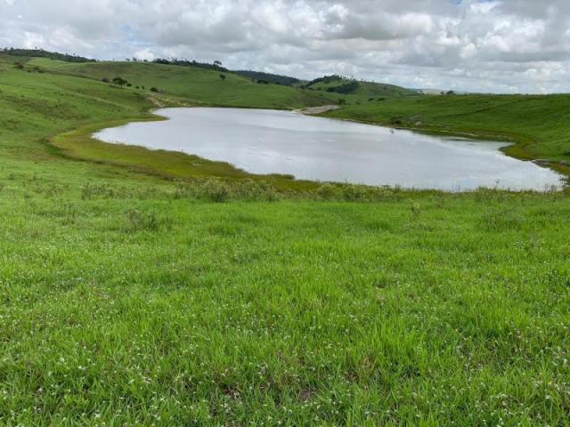 Fazenda para venda em passira, passira - Foto 11