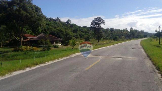 Terreno residencial à venda, praia de mogiquiçaba, belmonte. - Foto 10
