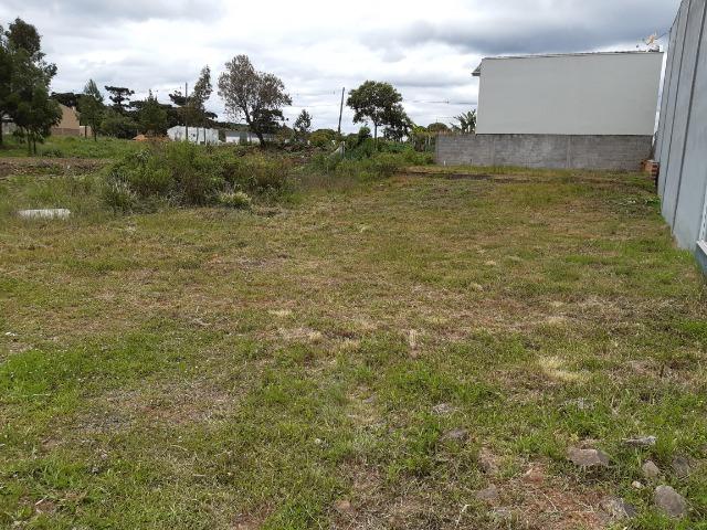 Terreno no são Luis da sexta légua Rua
