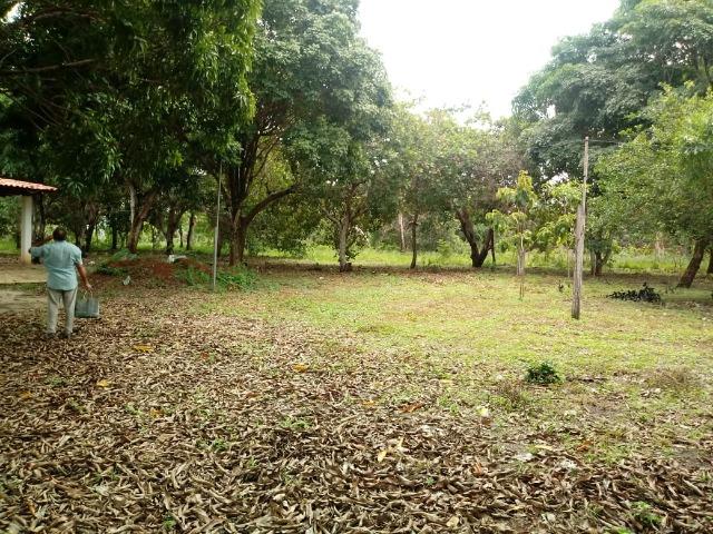 Oportunidade abaixo de mercado de sitio no Laranjal! - Foto 11