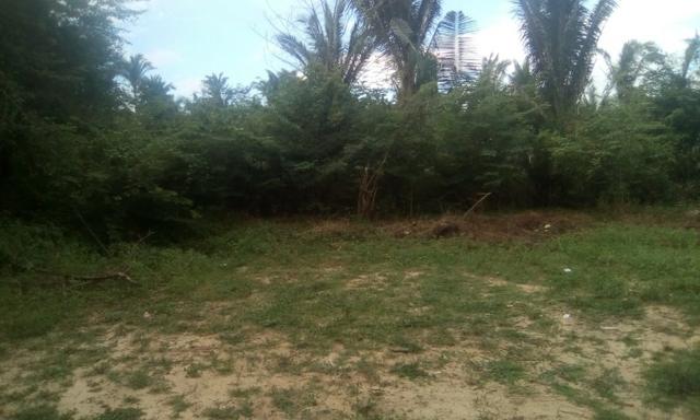 Sítio Bairro Tajaçuaba - São Luís (Ma) - Foto 3