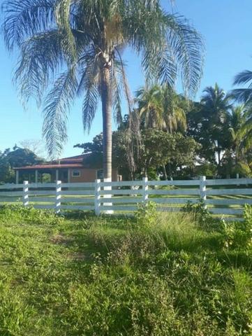 109 Alq. Entrada 50% Da Condições Planta 75 Dupla Aptidão Da Pivô Estruturada Piranhas GO - Foto 5