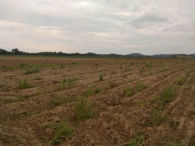 Ótima Fazenda em Casimiro de Abreu-RJ - Foto 2