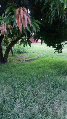 Vende de um lote de 800 metros aceita apt no gama - Foto 11