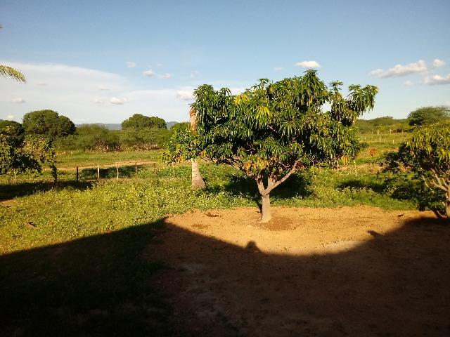 Propriedade rural - Foto 15