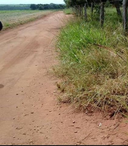 109 Alq. Entrada 50% Da Condições Planta 75 Dupla Aptidão Da Pivô Estruturada Piranhas GO - Foto 15