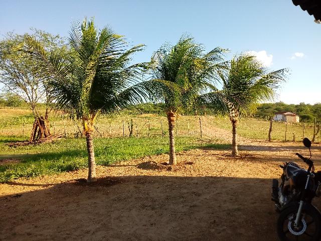 Propriedade rural - Foto 19