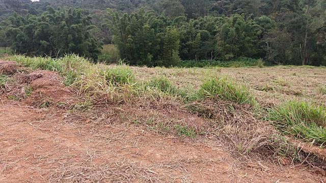 Lote Pra Construção De Seu Sitio,direto Com O Dono - Foto 4