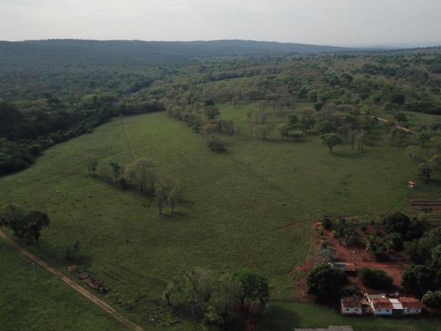 625 Alq. na Cultura | Ipameri-Goiás. Abaixo do Preço! - Foto 4