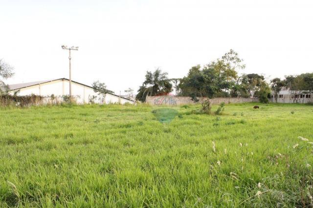 Área residencial à venda, jardim américa, itumbiara. - Foto 7