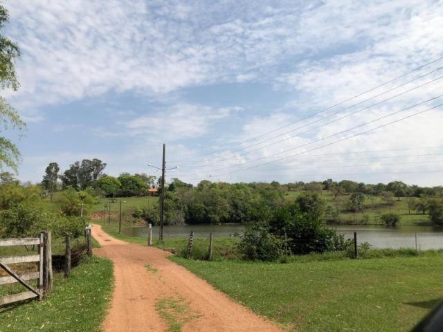 625 Alq. na Cultura | Ipameri-Goiás. Abaixo do Preço! - Foto 6