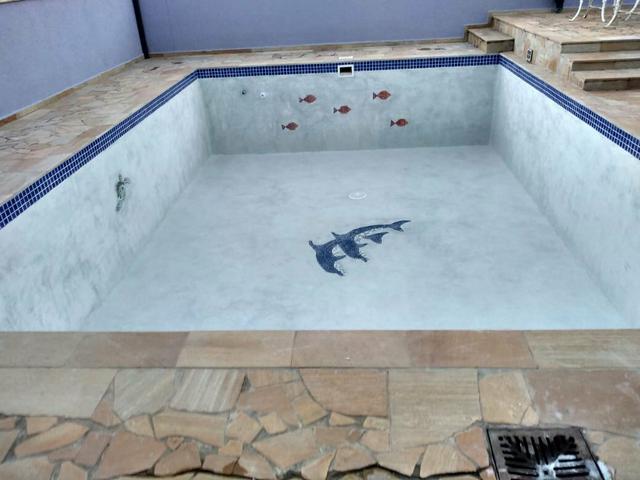 Golfinho mosaico, tartaruga mosaico, fundo de piscina - Foto 3