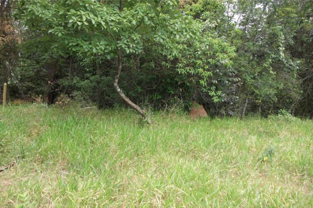 1.000 metros com Riacho OPortunidade Serra do Cipo - Foto 4