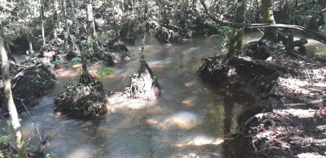 Vendo Chácara com 4 alqueires em Piracanjuba aceito proposta avista - Foto 15