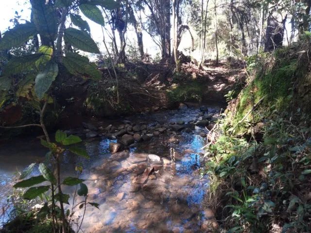 Chácara 2,0 Ha Dalagno - Foto 8