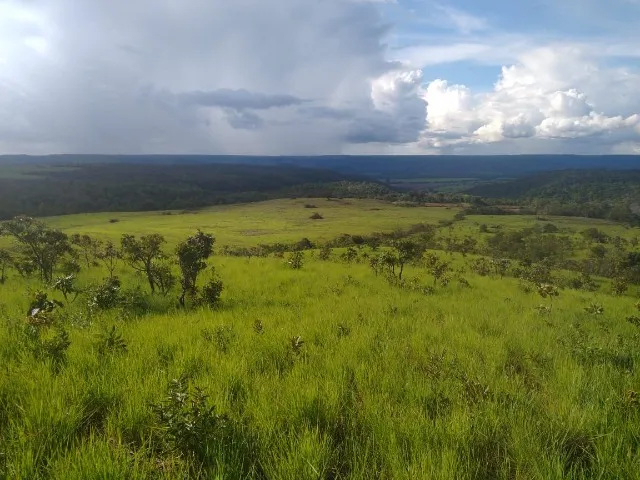 Fazenda de 50 Alqueires A Venda em Tocantins