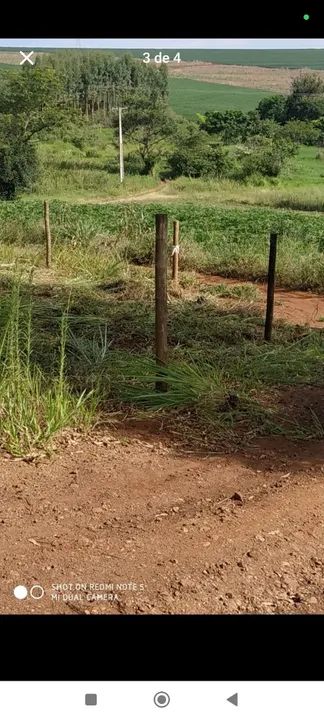 Chácara 8.000m2 Estrada São Domingos - Foto 2