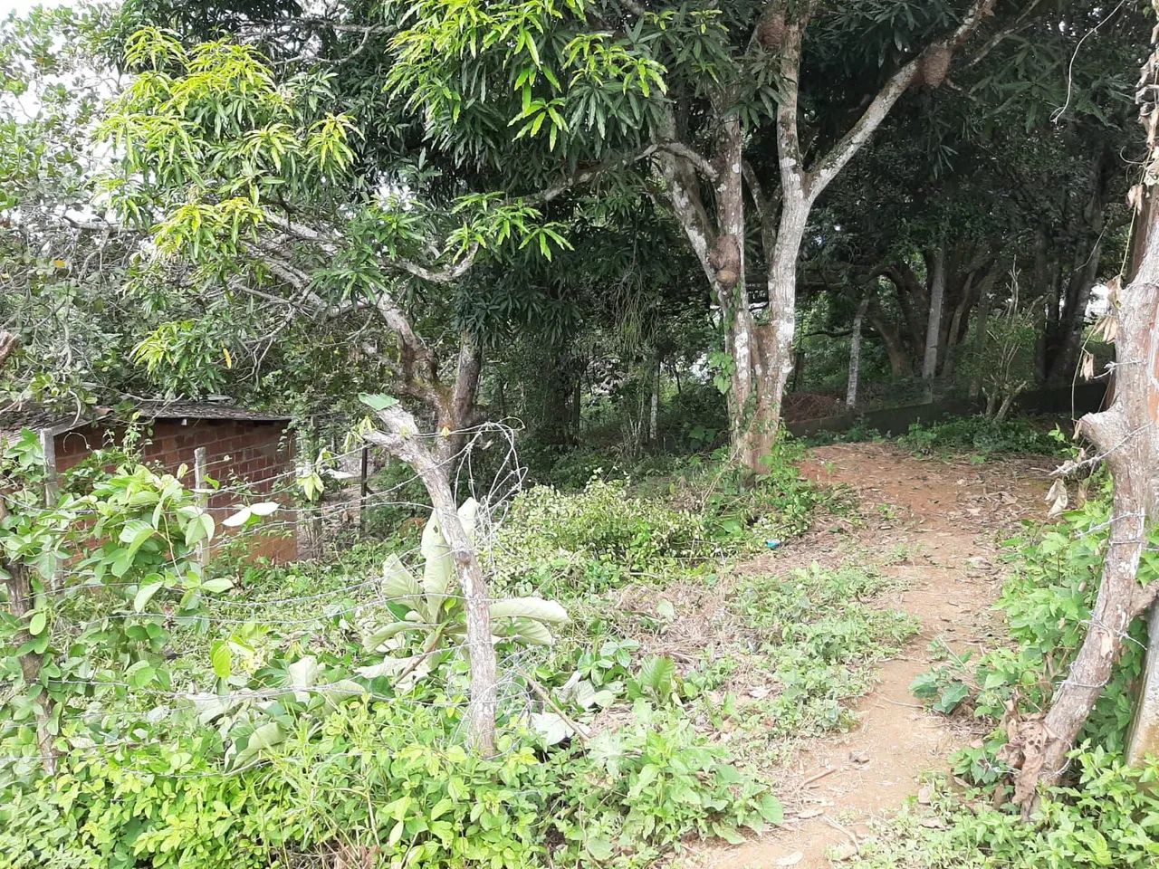 Terreno  Santa Mônica(aceito valor parcelado +entrada)) - Foto 5