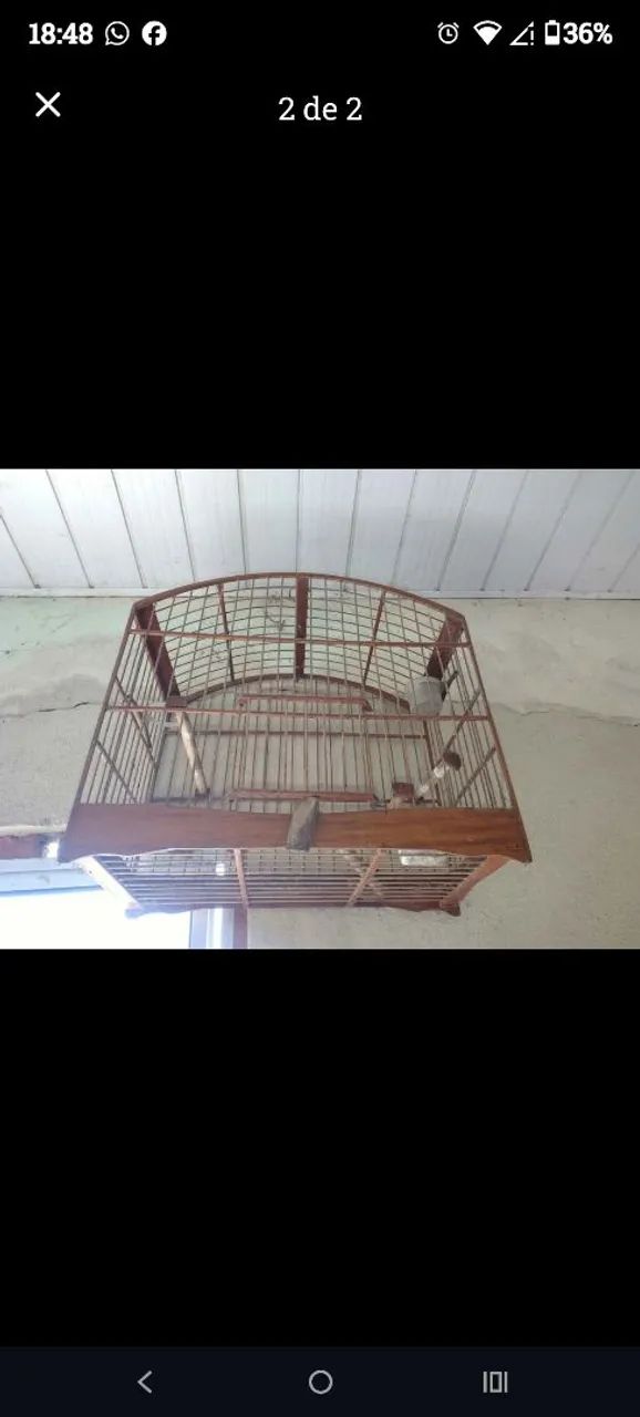 GAIOLA DE TRINCA FERRO E PAPAGAIO  - Foto 2