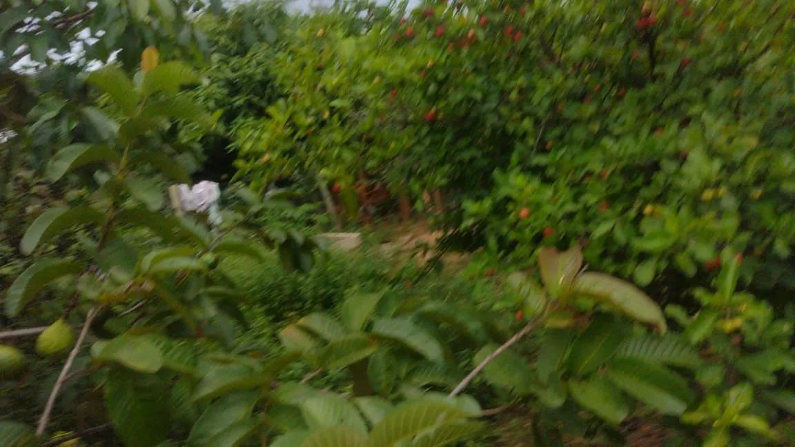 Chácara com preço de oportunidade!!! - Foto 10