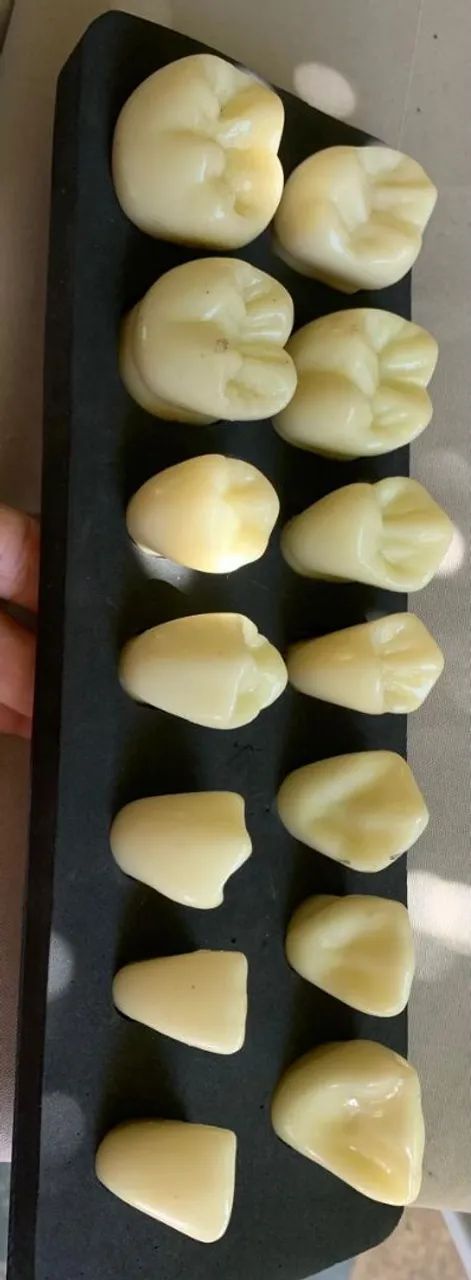 Modelos de Dentes Odontológicos - Foto 5