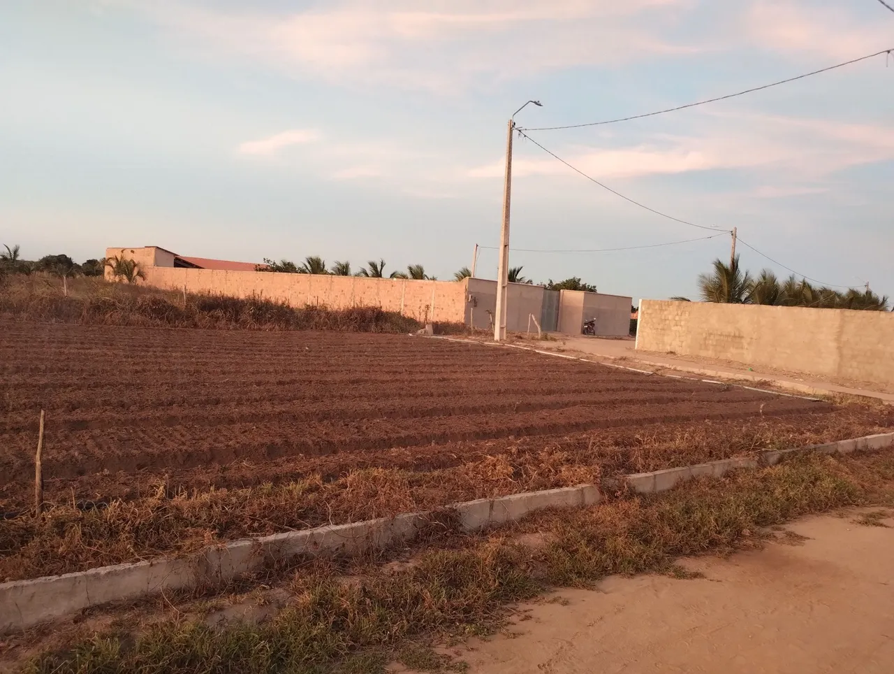Terreno de esquina.