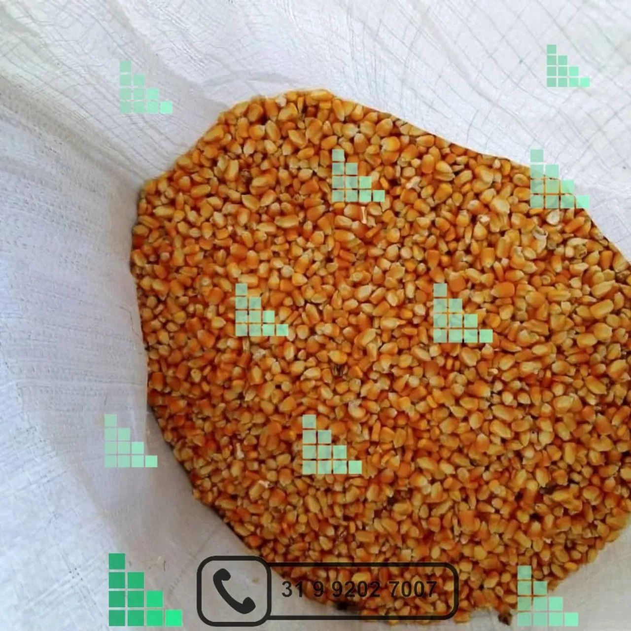 Saco de rafia para transportes no geral 