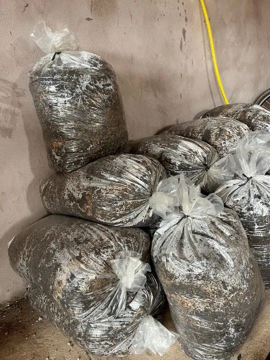 Vendo Adubo Orgânico  - Foto 3