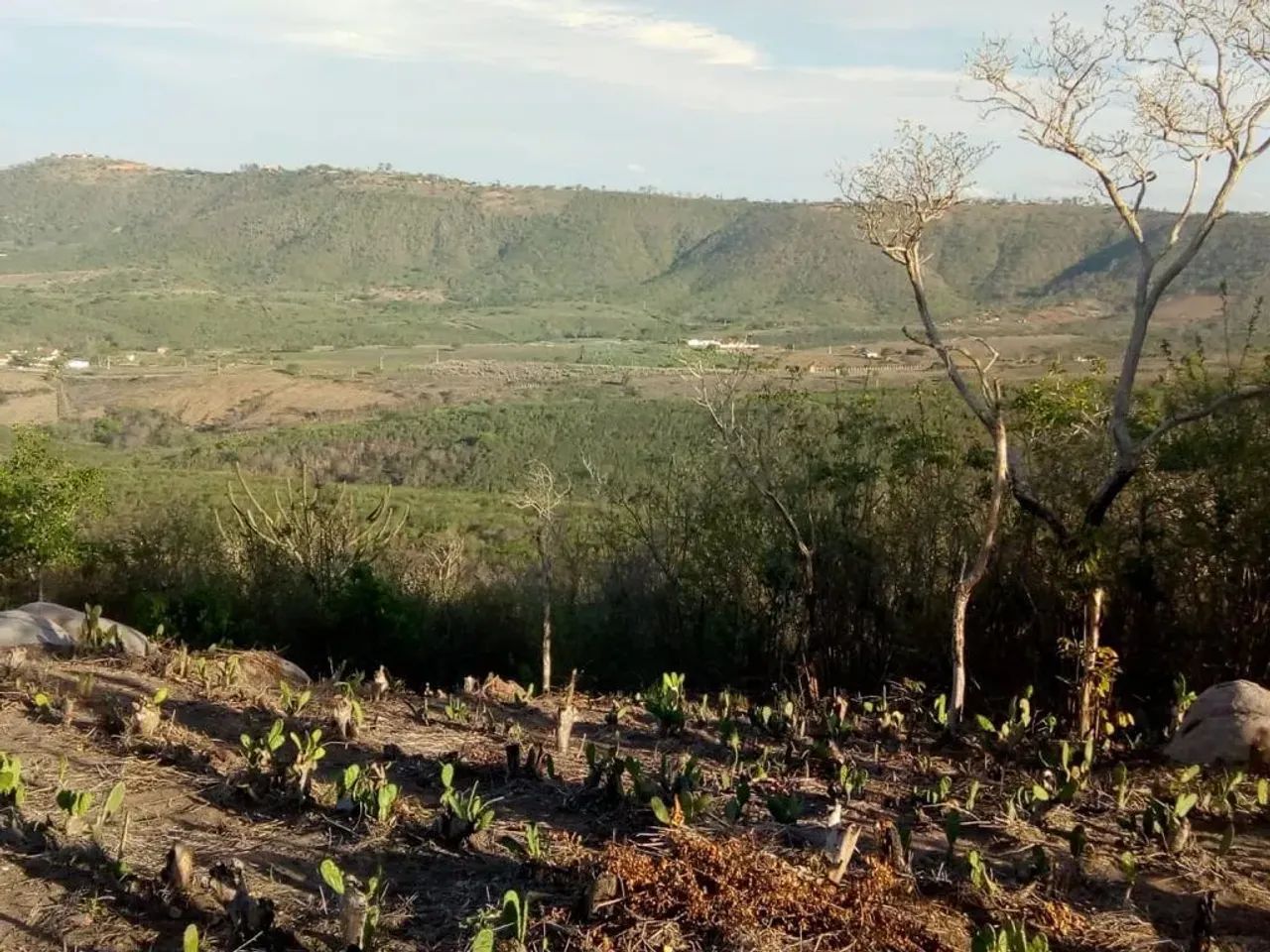 Gravatá Fazendola com 17 ha - PE, com Rio , no Vale do Caroa - Foto 4