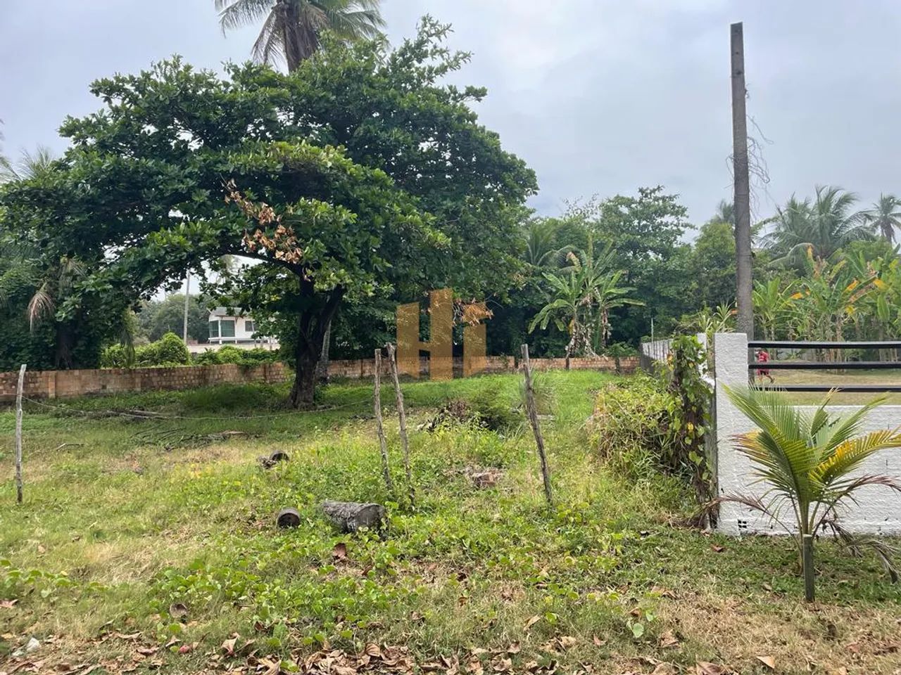 Terreno dos Sonhos à Beira-Mar em Sirinhaém, PE! - Foto 12