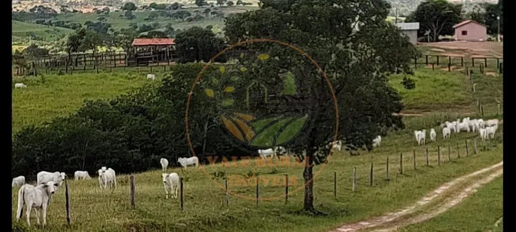 FAZENDA DE 800 HECTARES EM SÃO GONÇALO DO ABAETÉ - MG FA00253 - Foto 2