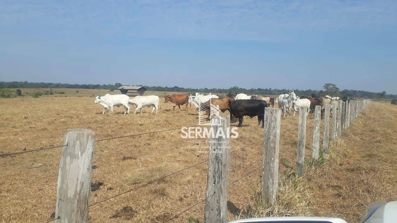 2 Fazendas à venda, 157650000 m² por R$ 280.000.000 - Zona Rural - Sena Madureira/AC
