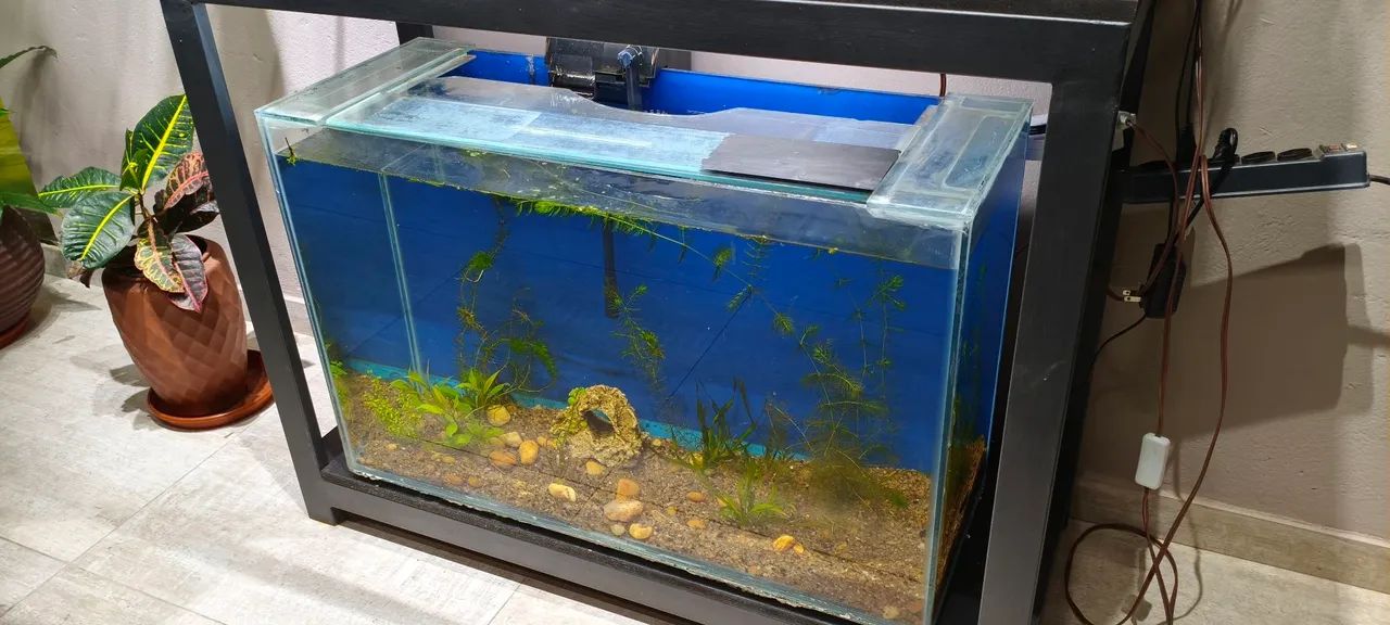 Aquário 120 Litros completo  - Foto 2
