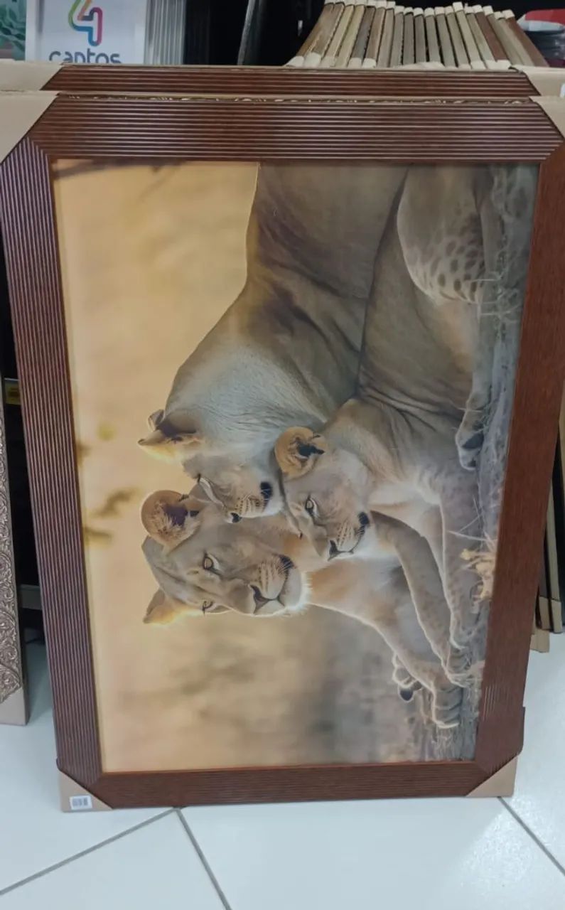 Quadro 