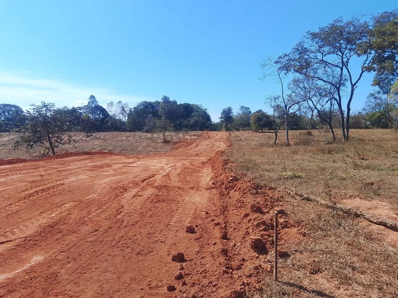 Foto - Belo Horizonte - Boa Vista
