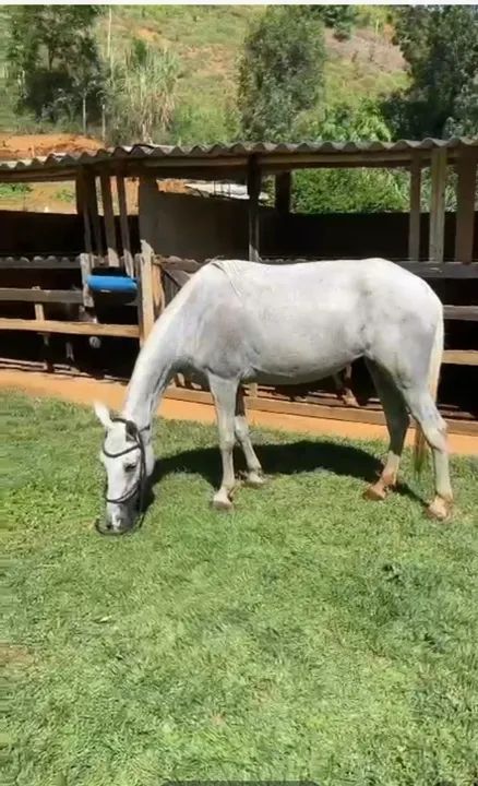 Egua marcha picada ( pra sair rapido) - Foto 2