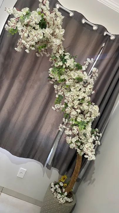 Cerejeira Branca  - Foto 3