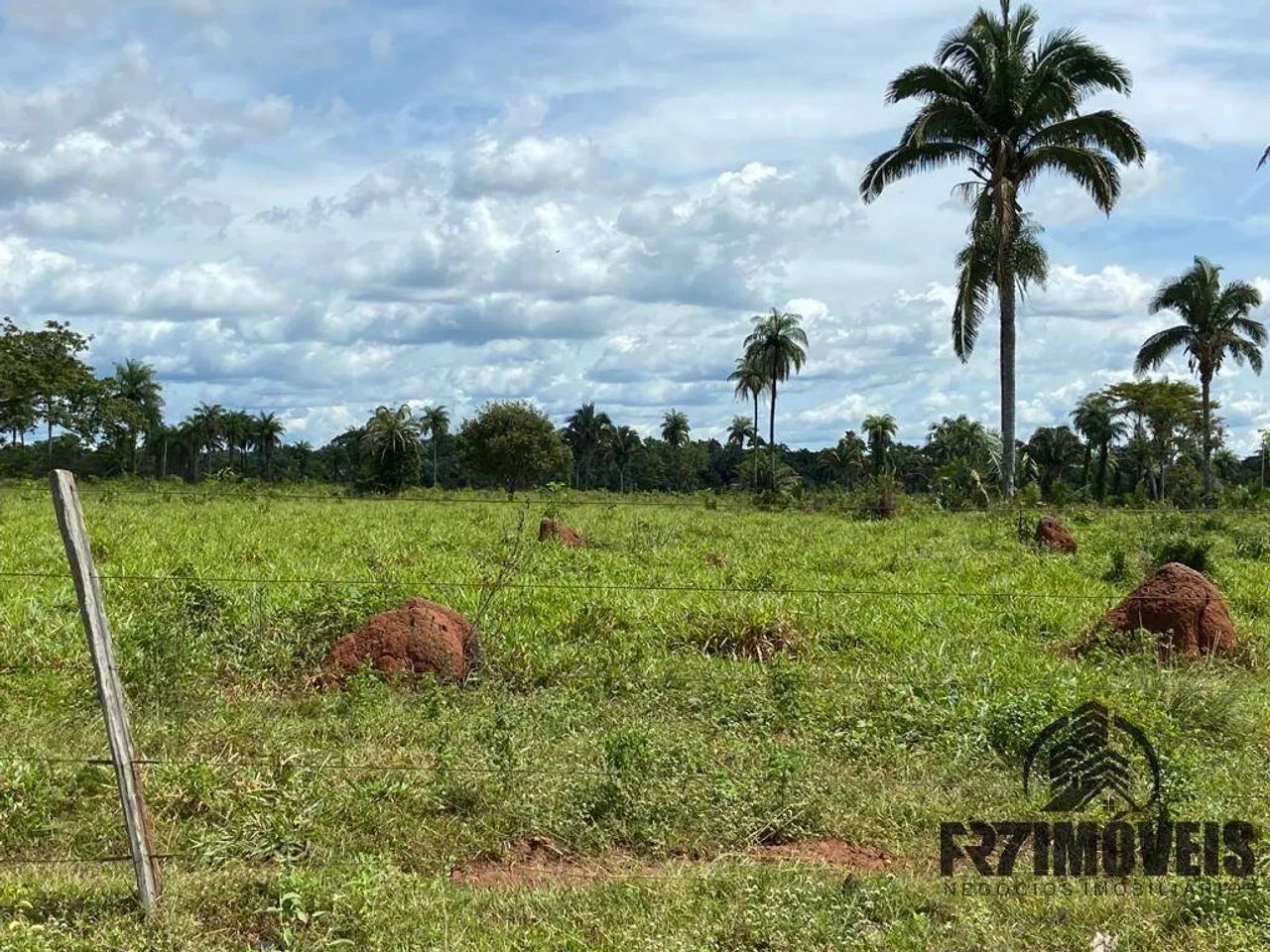FAZENDA NO MUNICÍPIO DE ARAGUATINS/TO - Foto 4