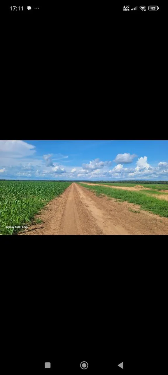 Fazenda arrendamento 3.000 hec plantando 1.900 em santa cruz do xingú