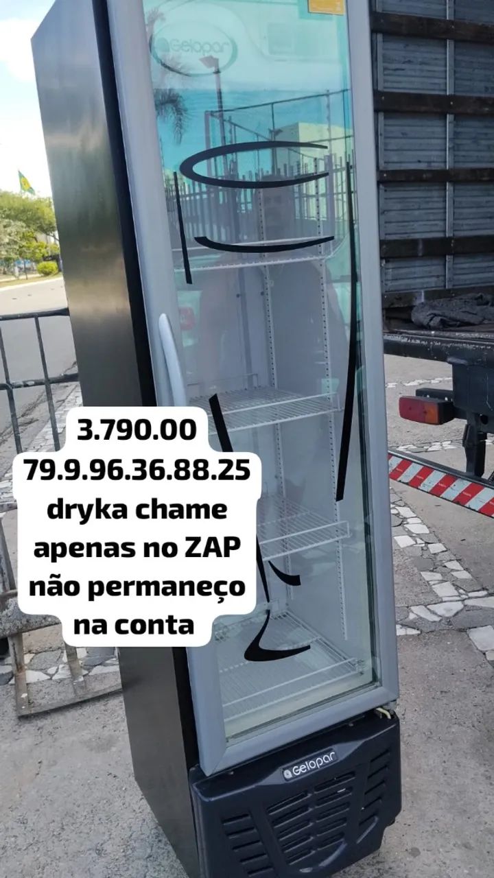 expositor cervejeira 