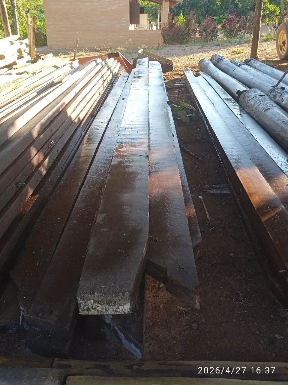 Madeira  - Foto 2